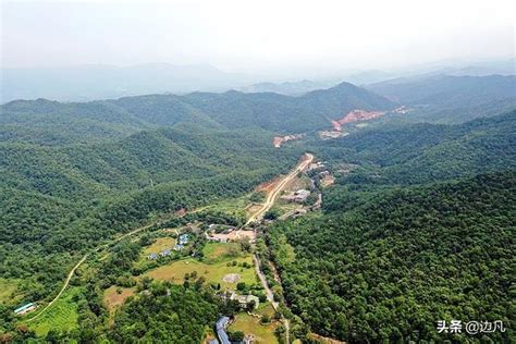 廣西十萬大山|攀登十萬大山，廣西，中國